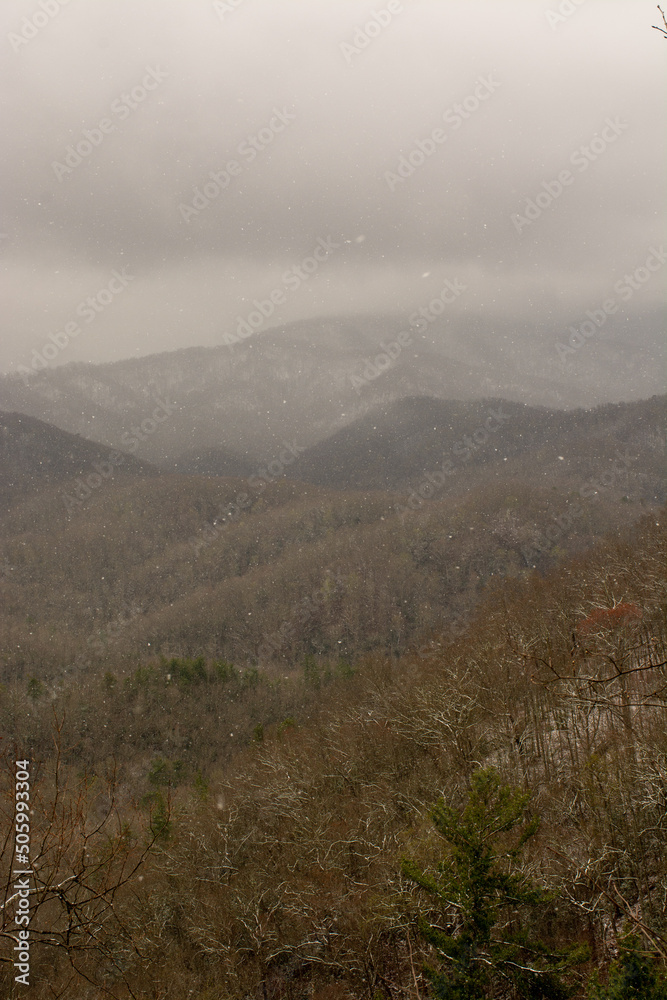 Spring Snow on the Mountain Vert Spring Snow on the Mountain Vert