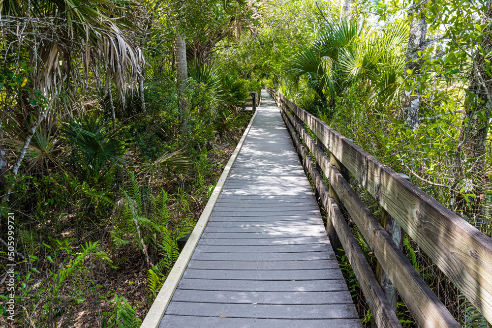 The Slew Walkway Beside Gator Lake, Six Mile Cypress Slough, Nature Preserve, Fort Myers, Florida, USA