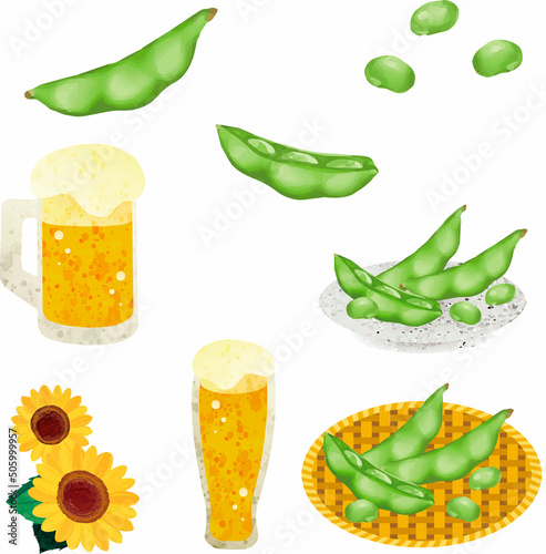 夏　枝豆　マメ　ビール　水彩　アナログタッチ　食べ物　おつまみ　野菜　イラスト素材セット