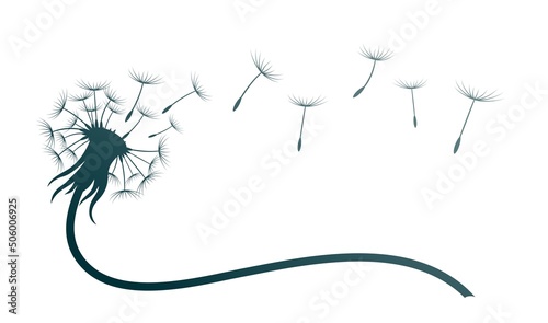 The symbol of field dandelion flower with flying seeds.