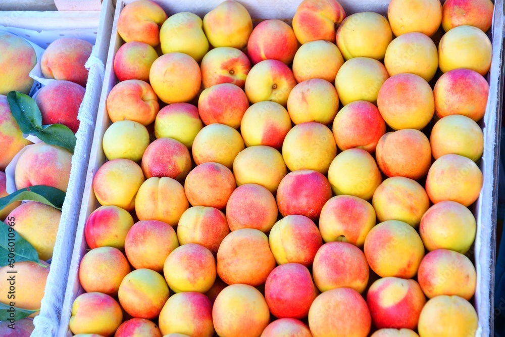 Ripe Nectarines (Latin Prunus persica) of the new harvest are sold at the bazaar Ripe Nectarines (Latin Prunus persica) of the new harvest are sold at the bazaar