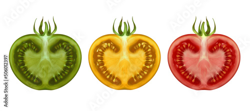 Ripening process tomato, green yellow and ripe red cut in half with a peduncle and leaves on a white background hand-drawn realistic illustration, different varieties of tomato.