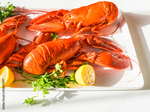 Red fresh lobsters with parsley and lemon halves on a white tray in the bright sun photo
