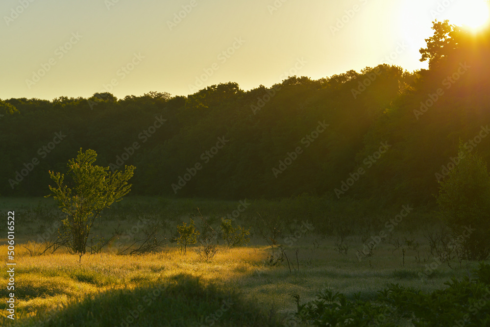 Amazing sunrise light at the edge of a wood. Nature landscape during spring. Amazing sunrise light at the edge of a wood. Nature landscape during spring.