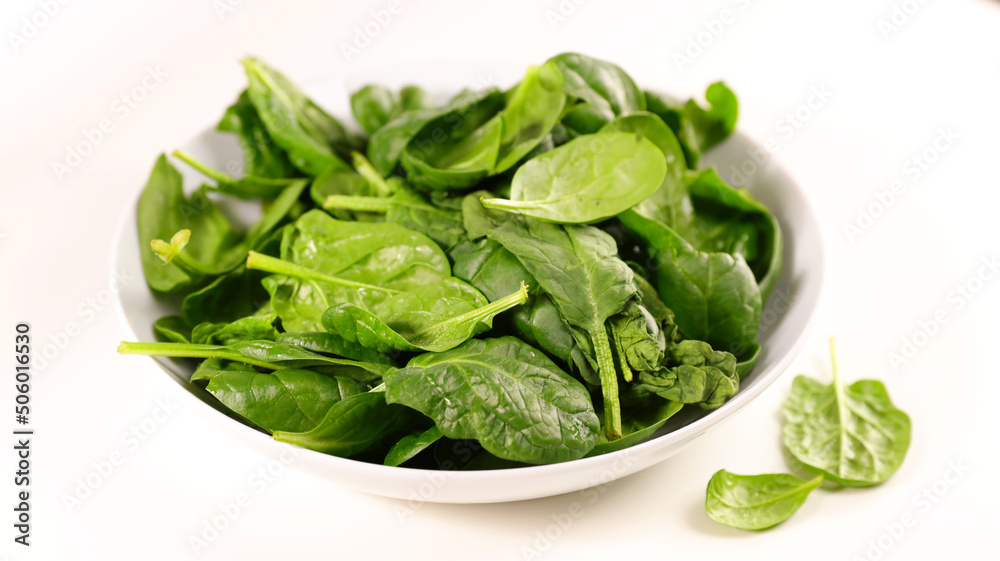 plate of fresh spinach on white background plate of fresh spinach on white background