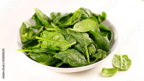 plate of fresh spinach on white background