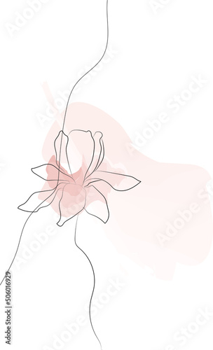 Floral line arts frame cover collection. Minimalistic modern line art Flower with abstract shape background for print, beauty and fashion. vector illustration.
