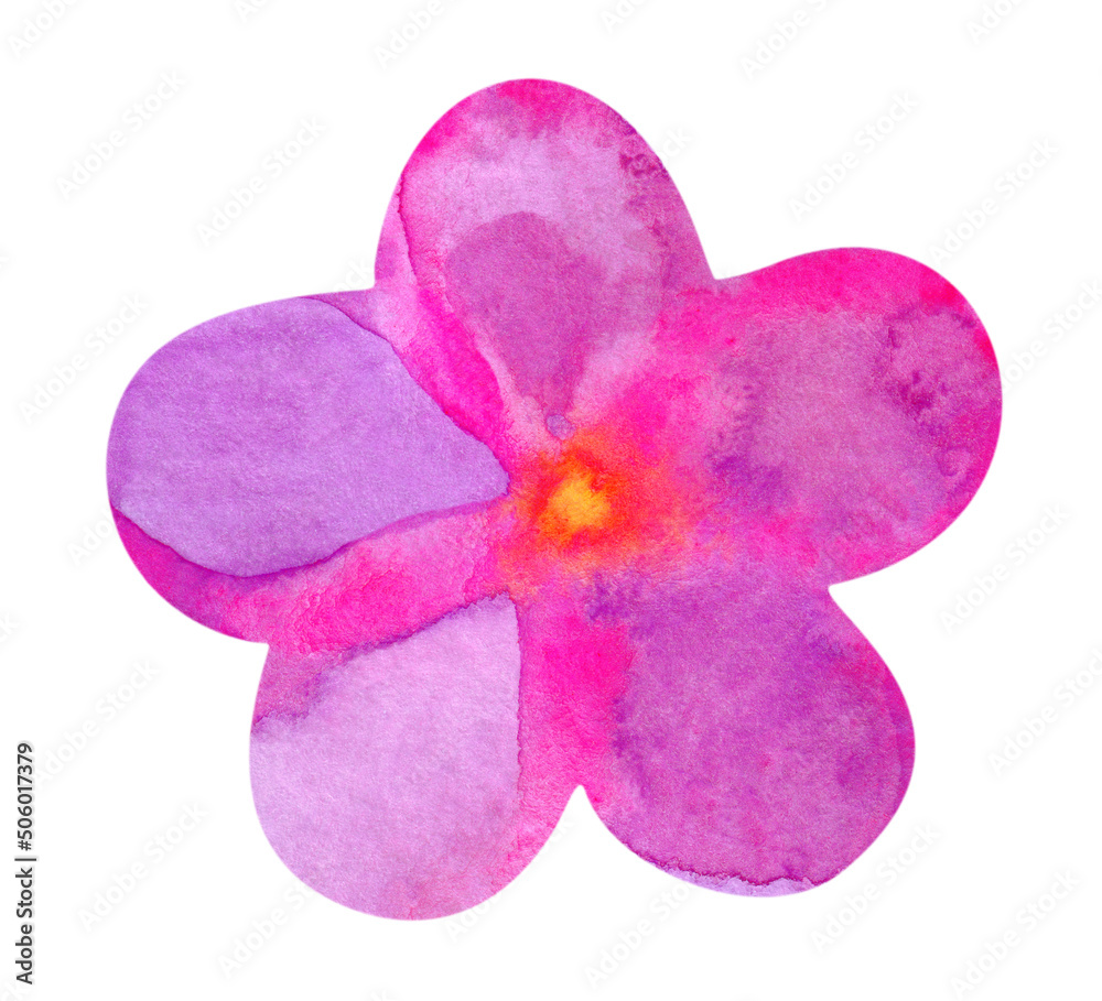 Watercolor pink plumeria flower isolated on white Watercolor pink plumeria flower isolated on white
