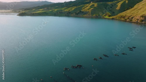 Aerial: Coromandel peninsula mussel farms, New Zealand