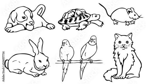 Vector illustration with collection of pets. Cat, dog, parrots, mouse, rabbit and turtle. Design for coloring book.