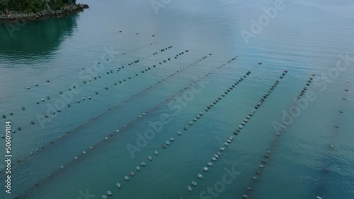 Aerial: Coromandel peninsula mussel farms, New Zealand