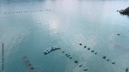 Aerial: Coromandel peninsula mussel farms, New Zealand