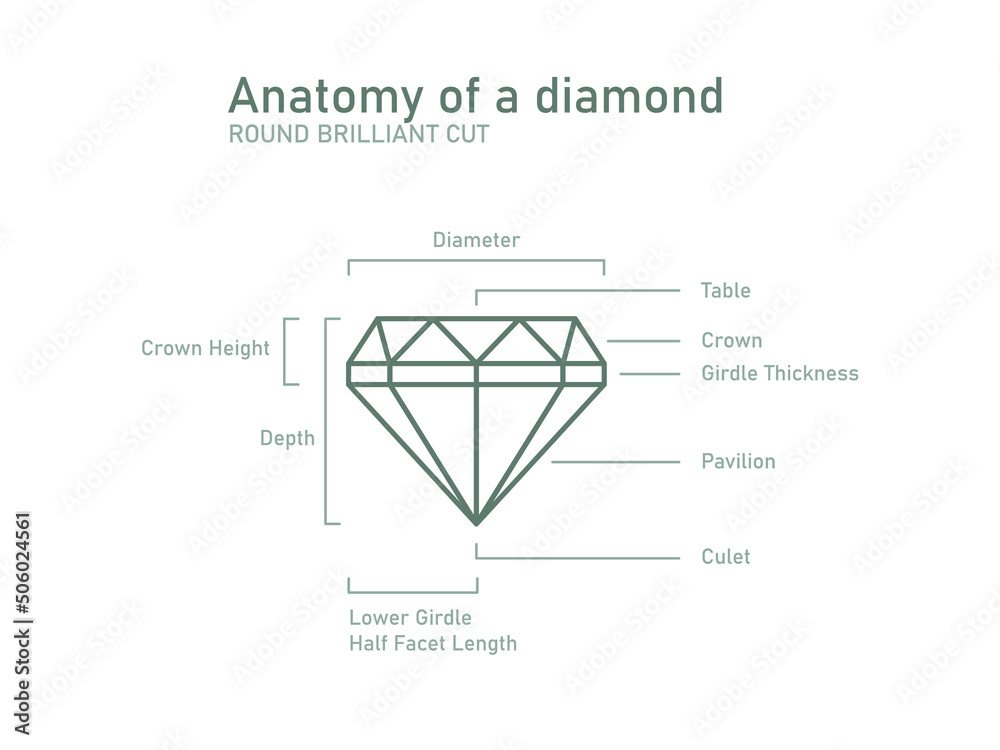 Anatomy of a diamond scheme. Brillianat shapes and naming. Vector Anatomy of a diamond scheme. Brillianat shapes and naming. Vector