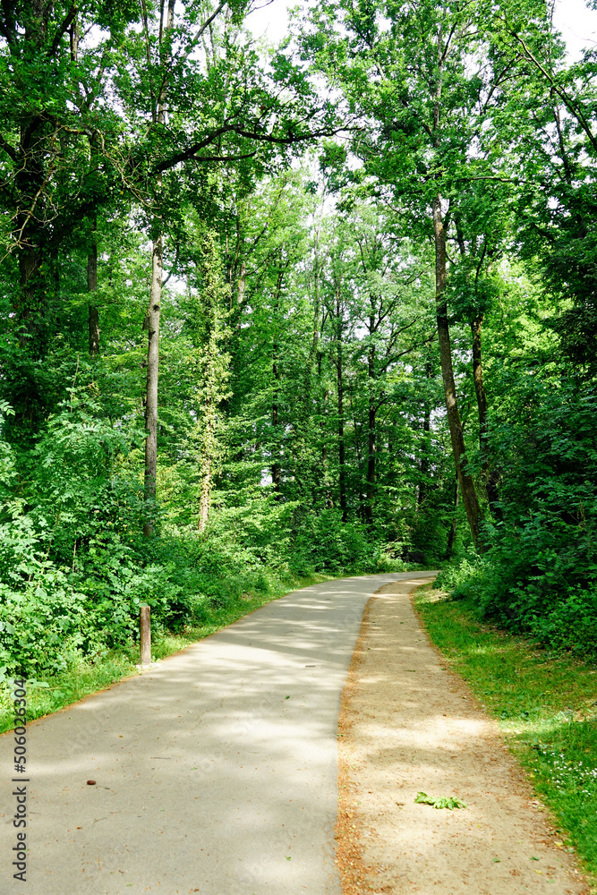 Naklejka premium Voie verte et chemin dans la fôret du Domaine Lacroix-Laval, Marcy l'Étoile, Auvergne-Rhône-Alpes, France