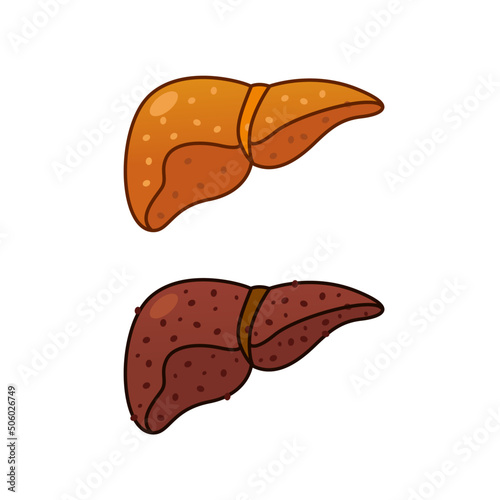 fatty liver icon vector illustration
