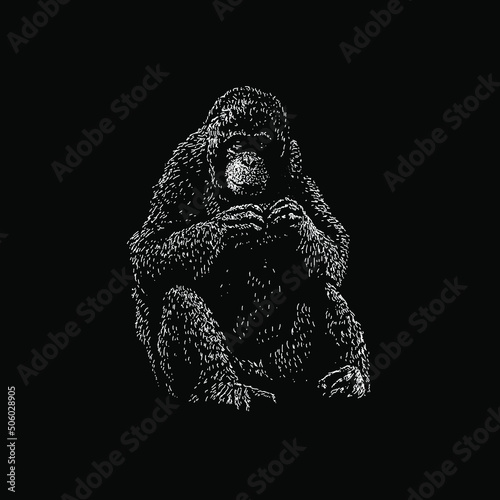 Orang utan hand drawing vector illustration isolated on black background