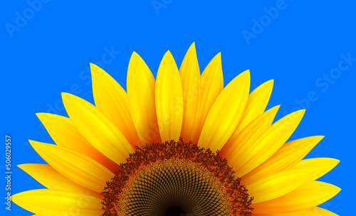 Summer flower background with sunflower and blue sky, vector illustration.