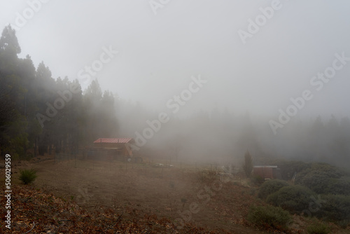 House in the middle of the forest on a foggy day in Gran Canaria  Canary Islands