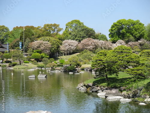 豊富な阿蘇伏流水が湧出して作った池を中心にした桃山式回遊庭園で、築山や浮石、芝生、松などの植木で東海道五十三次の景勝を模したといわれる大名庭園,熊本市にある水前寺成趣園 photo