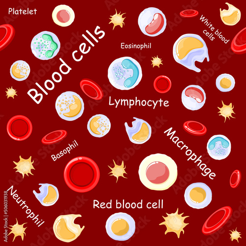 seamless pattern. red and white blood cells under microscope. Vector background