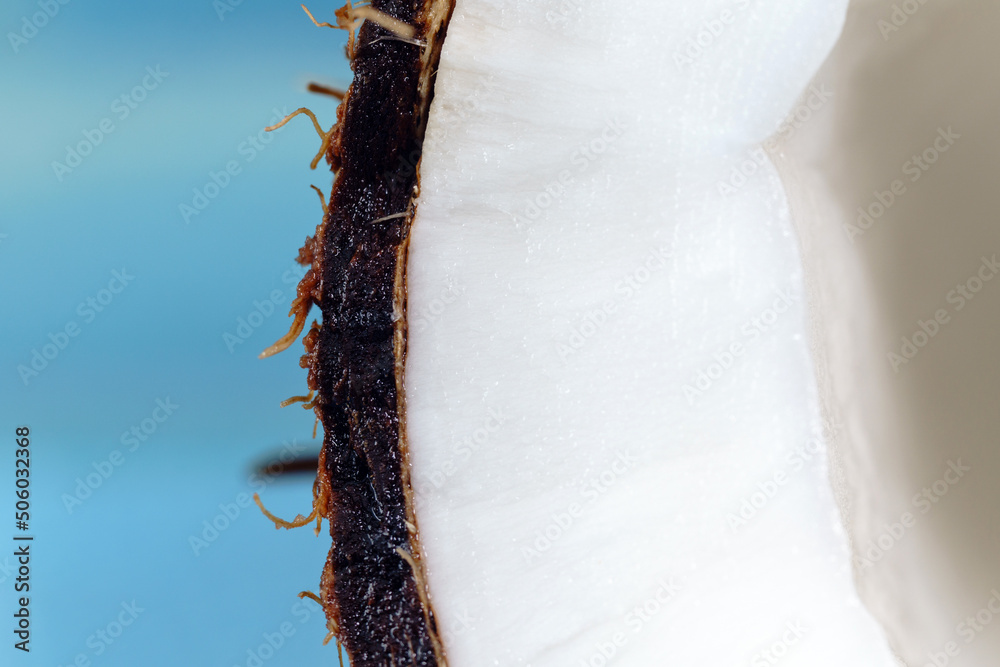 Coconut close up macro in water pieces. Fruit, food, tasty concept. Nutritious exotic nuts. Coconut close up macro in water pieces. Fruit, food, tasty concept. Nutritious exotic nuts.
