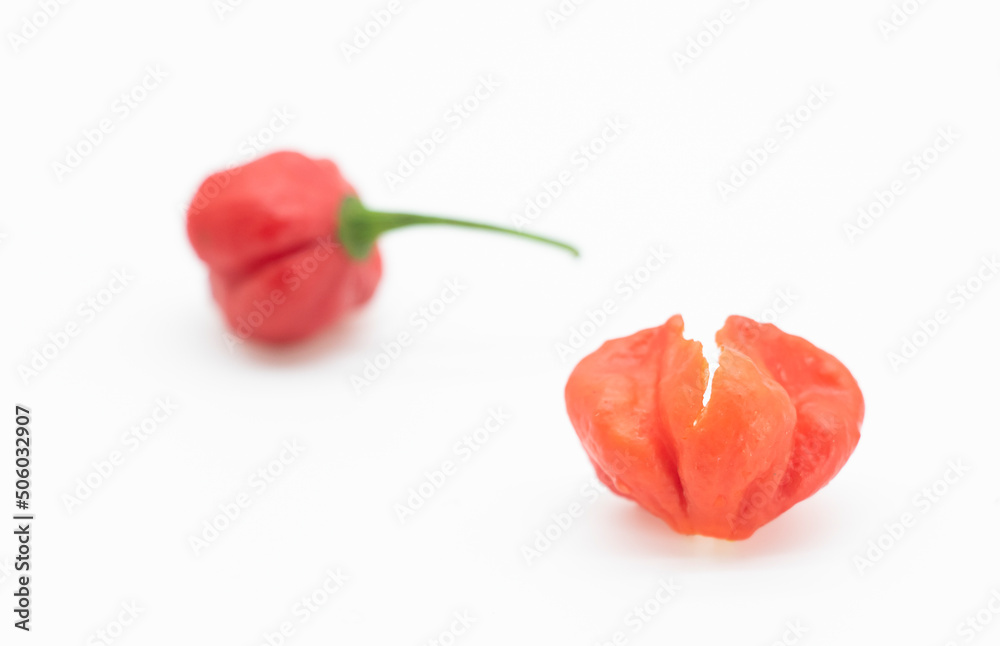 red hot chili peppers or naga chili isolate on white background red hot chili peppers or naga chili isolate on white background