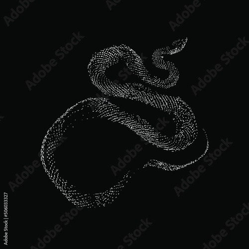 racer snake hand drawing vector illustration isolated on black background