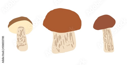Simple color vector illustration. Forest porcini mushroom, boletus. Delicacy, vegetarian food.