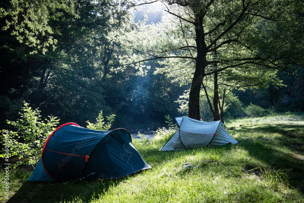 With a tent in nature. Camping tents in the morning.