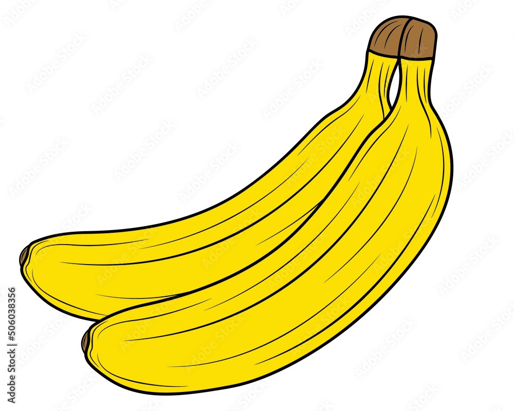 Bunch of bananas isolated on white background in clipart style. Vector illustration. Bunch of bananas isolated on white background in clipart style. Vector illustration.