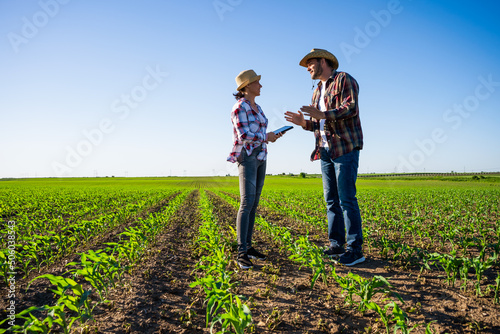 Man and woman are working together in partnership. They are cultivating corn.