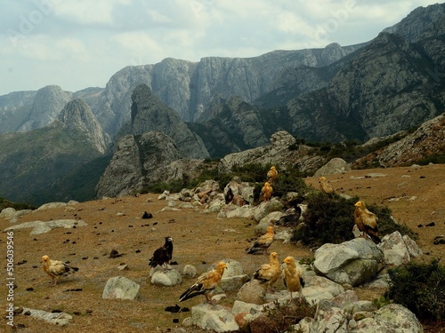 landscape in the mountains