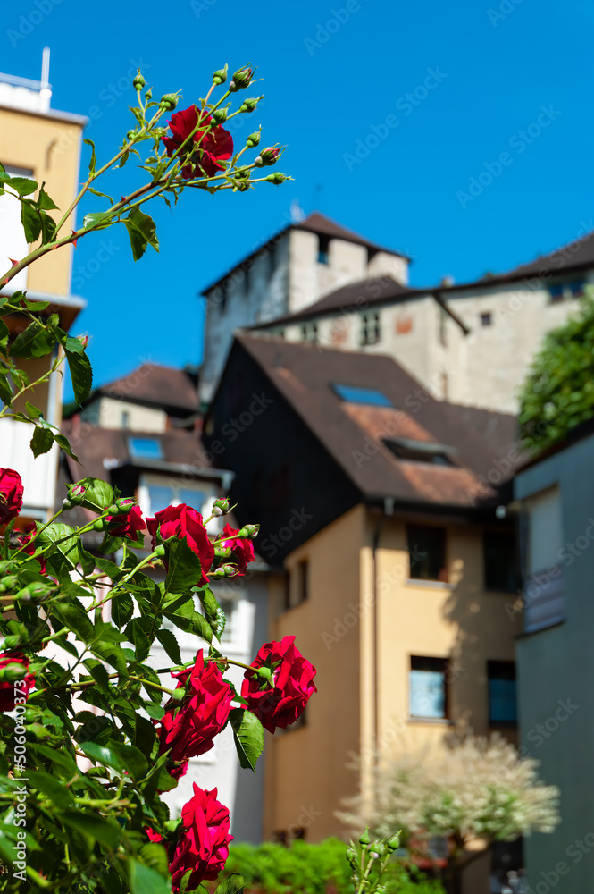 Red Roses and Blurred view at the historic castle in Feldkirch, Austria