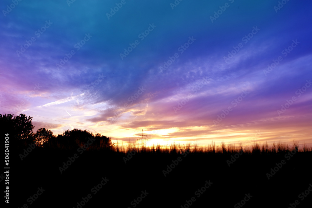 beautiful summer landscape, sunset in evening, beautiful dramatic blue sky with clouds, black silhouette of ears of rye in background, concept of rich harvest of bread, grain import, export abroad