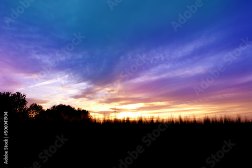 beautiful summer landscape, sunset in evening, beautiful dramatic blue sky with clouds, black silhouette of ears of rye in background, concept of rich harvest of bread, grain import, export abroad © kittyfly