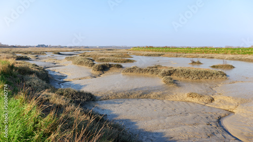 Low tide in the estuary of the Orne river. Normandy coast