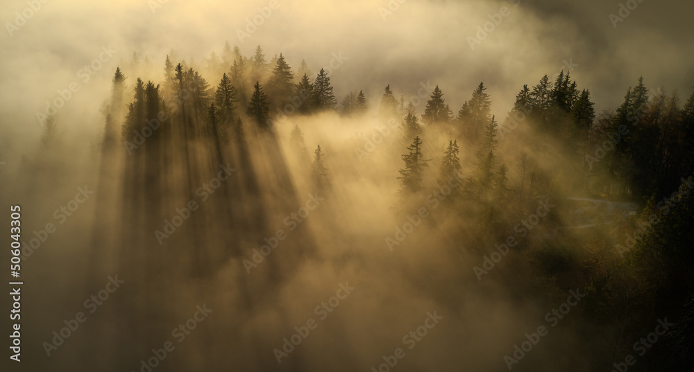 Aerial image of an autumn forest with fog at sunset.