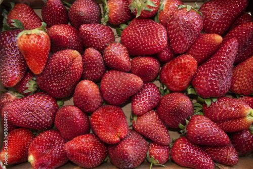 red and ripe strawberries