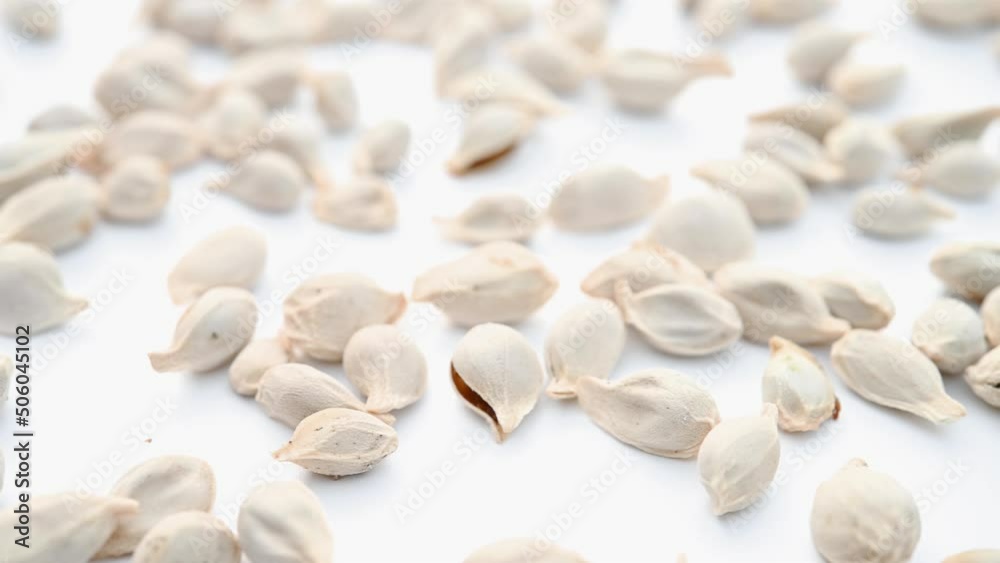 angle view herb JuHe or Semen Citri Reticulatae or Tangerine Seed rotating angle view herb JuHe or Semen Citri Reticulatae or Tangerine Seed rotating