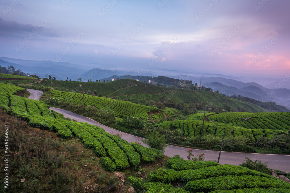 View of the tea estates located at Munnar View of the tea estates located at Munnar