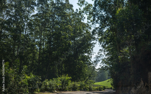 Pampadum Shola , Kerala, India - April 28, 2022: Forest views on the way from Munnar to Vattavada photo