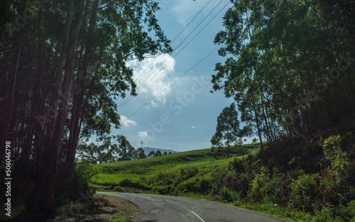 Pampadum Shola , Kerala, India - April 28, 2022: Forest views on the way from Munnar to Vattavada photo