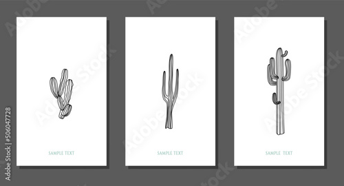 Vector botanical wall arts, with cactus. Minimalistic and natural. Cactus and line arts design.