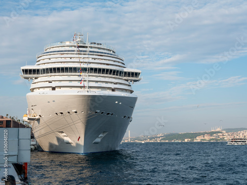Cruise ship docked in port, front view