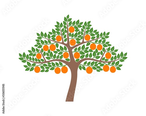 Orange tree logo. Isolated orange tree on white background
