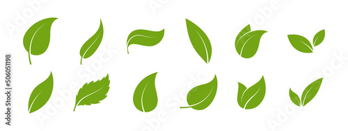 Green color leaf vector logo or icon set. Isolated leaves on white background.