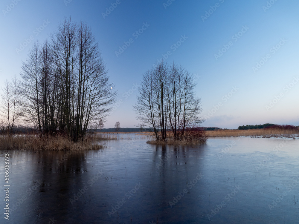 View of the spring backwaters, Spring landscape, Biebrza National Park, Poland