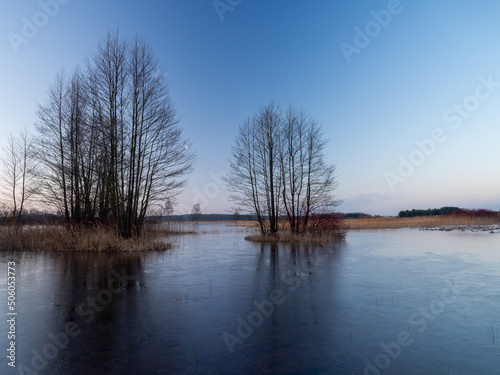 View of the spring backwaters, Spring landscape, Biebrza National Park, Poland