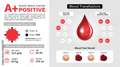 A Positive Blood group characteristics and Additional information vector image design