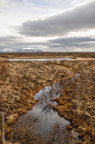 Landscape in Iceland without any signs of human presence, but with grass, bushes, a stream and a distant mountain